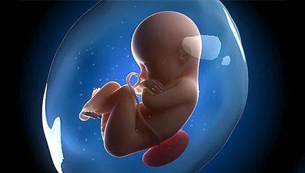 42岁高龄成功案例